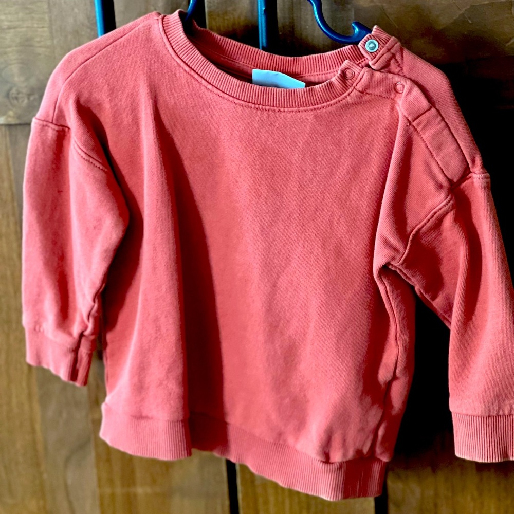 Cat & Jack toddler boy sweatshirt